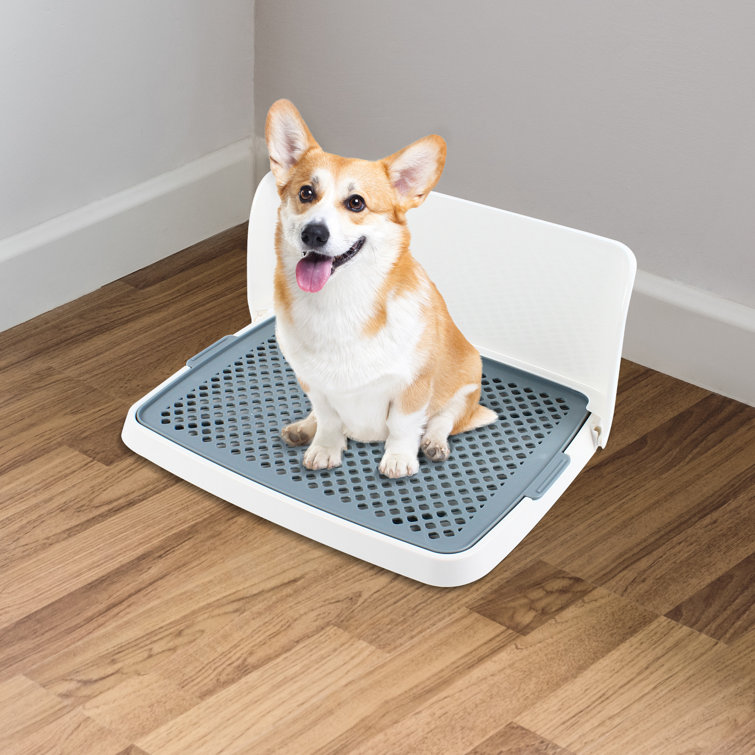 Tucker Murphy Pet Seviervillle Detachable Pet Dog Potty Pad